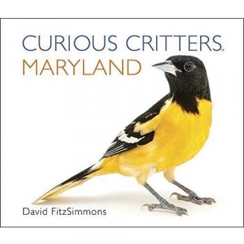 Curious Critters Maryland