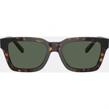 Gafas de sol Arnette Cold Heart 2.0 AN 4334 en color havana, cuadradas, de acetato para hombre