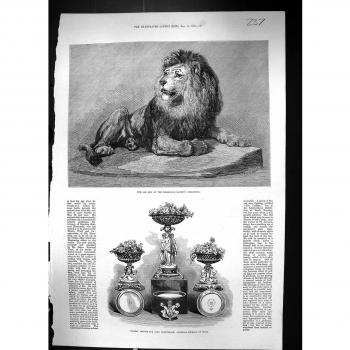 Gesellschafts-Sammlungs-Nachtisch-Servicio-Lor de Antiker Druck Löwe-Zoologischen del _