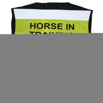 Equisafety Adjustable Air Waistcoat - Chaqueta, Color Amarillo, Talla XL
