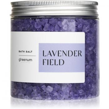 Greenum Lavender Field Bath Salt 600 g