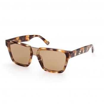 Gafas de Sol Hombre Web Eyewear WE0314-0041F