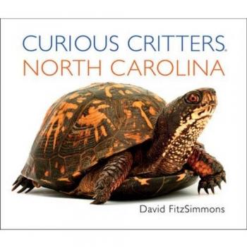 Curious Critters North Carolina