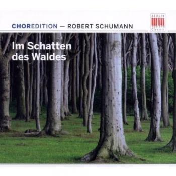 Im Schatten des Waldes