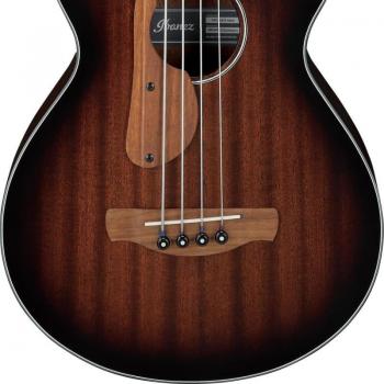 2024 Ibanez AEGB34FE Mahogany Sunburst Fretless AE Bass Guitar
