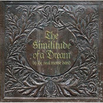 The Similitude of a Dream [Vinyl LP] [Vinilo]