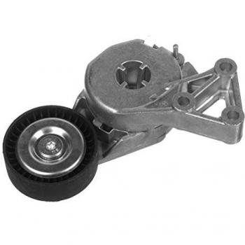 Tensor de correa poli V MEYLE 100 903 0000 para SEAT Ibiza, Leon, Altea, Toledo, Cordoba, Alhambra, Arosa y VOLKSWAGEN Golf, Passat