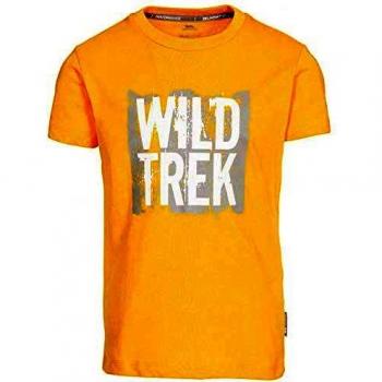 Trespass Zealous Quick Drying Graphic Camiseta, Luce del Sole, 3-4 Anni para Niños