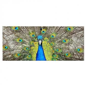 Impresión sobre Lienzo Pavo Real Multicolor 100x3x70 cm - Poliéster y Madera Epikasa