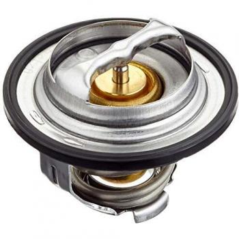 BEHR THERMOTTRONIK Termostato refrigerante