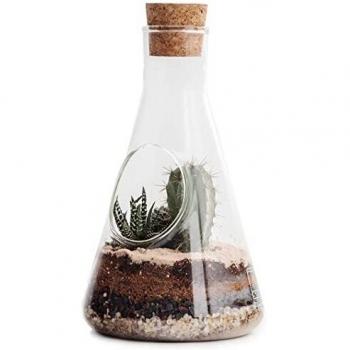 SUCK UK Chemistry Terrarium Kit Terrario de Laboratorio, Claro, 22.5x12x12 cm