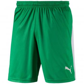 PUMA Liga Shorts Pants, Hombre, Bright Green White, S