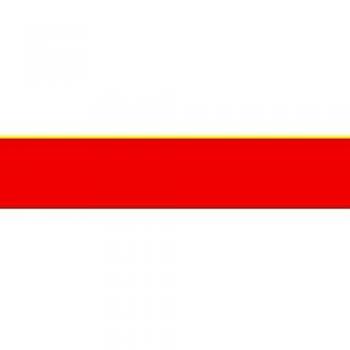 Kreisfreien Stadt Münster Westfalen | City of Münster | Ville de Münster Westphalie | Stadt Münster Westfalen Bandera 20x30cm para Diplomat-Flags Banderas de Coche