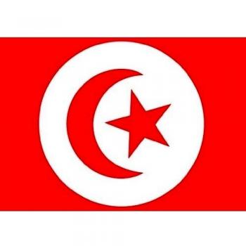 Apalis Imágen de Pared Flag of Tunisia 2, Größe:144cm x 240cm
