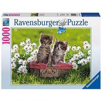 Ravensburger - Puzzles 1000 Piezas, diseño Picnic