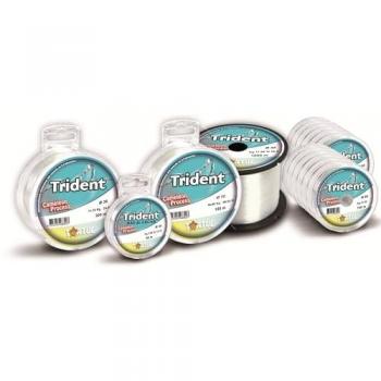 Equipo de pesca Líneas de pesca Tortue Monofilamento Trident 300 M Transparente