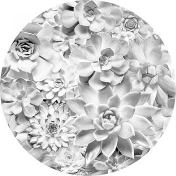 Papel Pintado Redondo Autoadhesivo Echeveria, 125 cm x 125 cm, Tela No Tejida