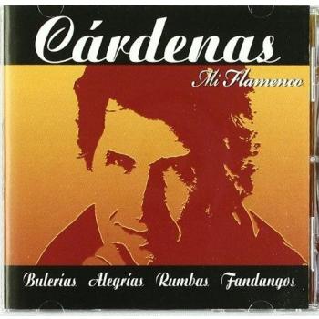 Mi Flamenco