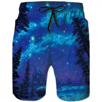 Goodstoworld Hombre Bañador Shorts 3D Playa Natacion Pantalon Corto Poliéster Secado Rápido Ligero Bermuda Moda Shorts