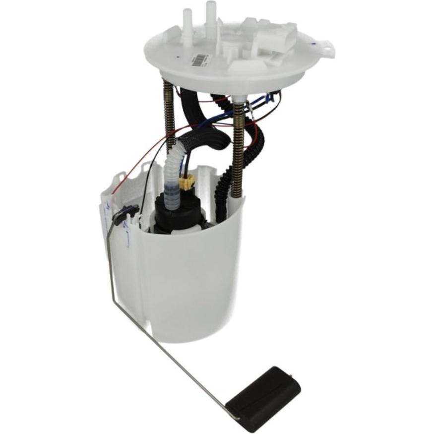 Imagen Principal