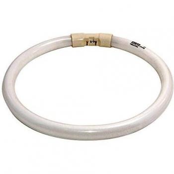 Philips 64221925 Anillo Tubo Master TL5 Circular 22 W/840 2 GX13