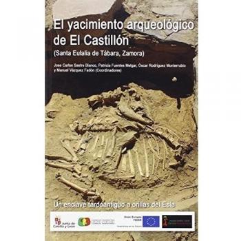 El yacimiento arqueológico de El Castillón