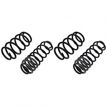 Kit de suspensión EIBACH Pro-Kit con muelles para VOLKSWAGEN Beetle 3/5 puertas