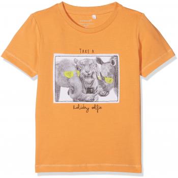 NAME IT Nmmgallo SS Top Box, Camiseta para Niños, Naranja