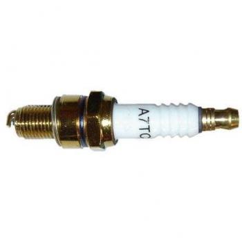Champion OE136/T10 – Bujía de encendido