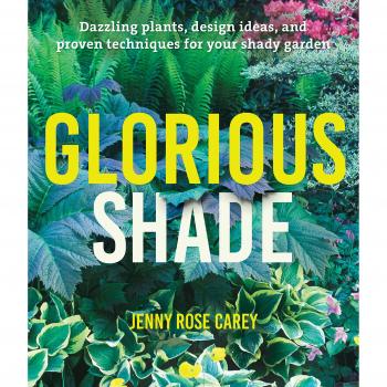 Glorious Shade