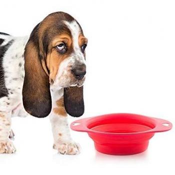 Comedero Plegable para Mascotas Heart