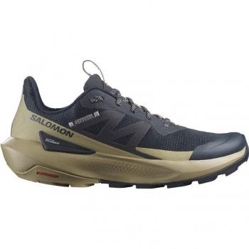 Zapatillas de montaña Salomon Elixir Activ Carbon/Marrón Hombre