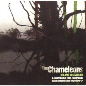 Dreams in Celluloid - Chameleons