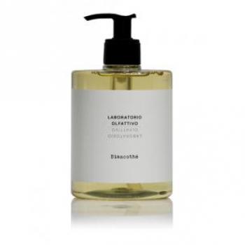 Laboratorio Olfattivo Biancothè Unisex Perfumed Liquid Soap 500 ml