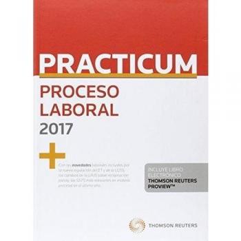 Practicum Proceso Laboral 2017