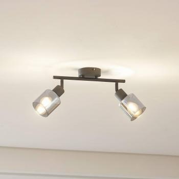 Luz de Techo Lindby Netty, 2 Luces, Gris, Cristal