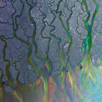 Alt-J - An Awesome Wave (Vinyl Record)