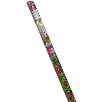 JBL - Tubo Fluorescente para Colores intensos en acuarios de Agua Dulce, Color Solar