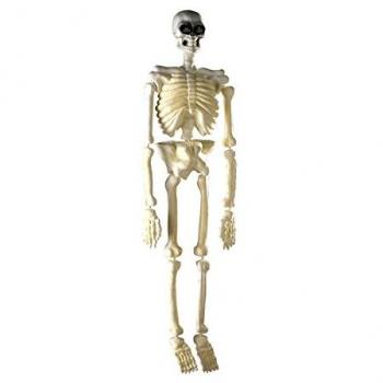 Esqueleto fluorescente gigante 140 cm para Halloween