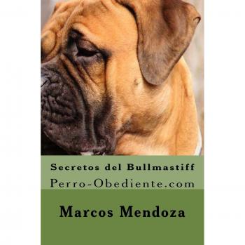 Secretos del Bullmastiff: Perro-Obediente.com