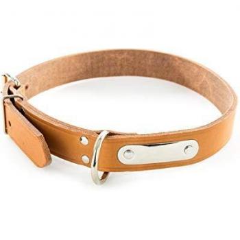 Collar de perro de cuero con placa identificativa Martin Sellier