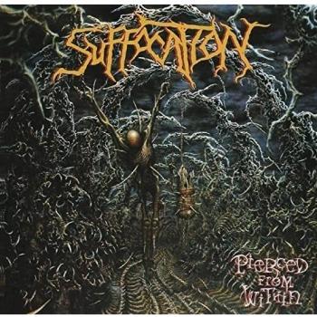 Pierced From Within [Vinilo]