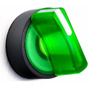 Interruptor Selector Rotativo Schneider con LED, 2 Posiciones Fijas, 24V, Verde