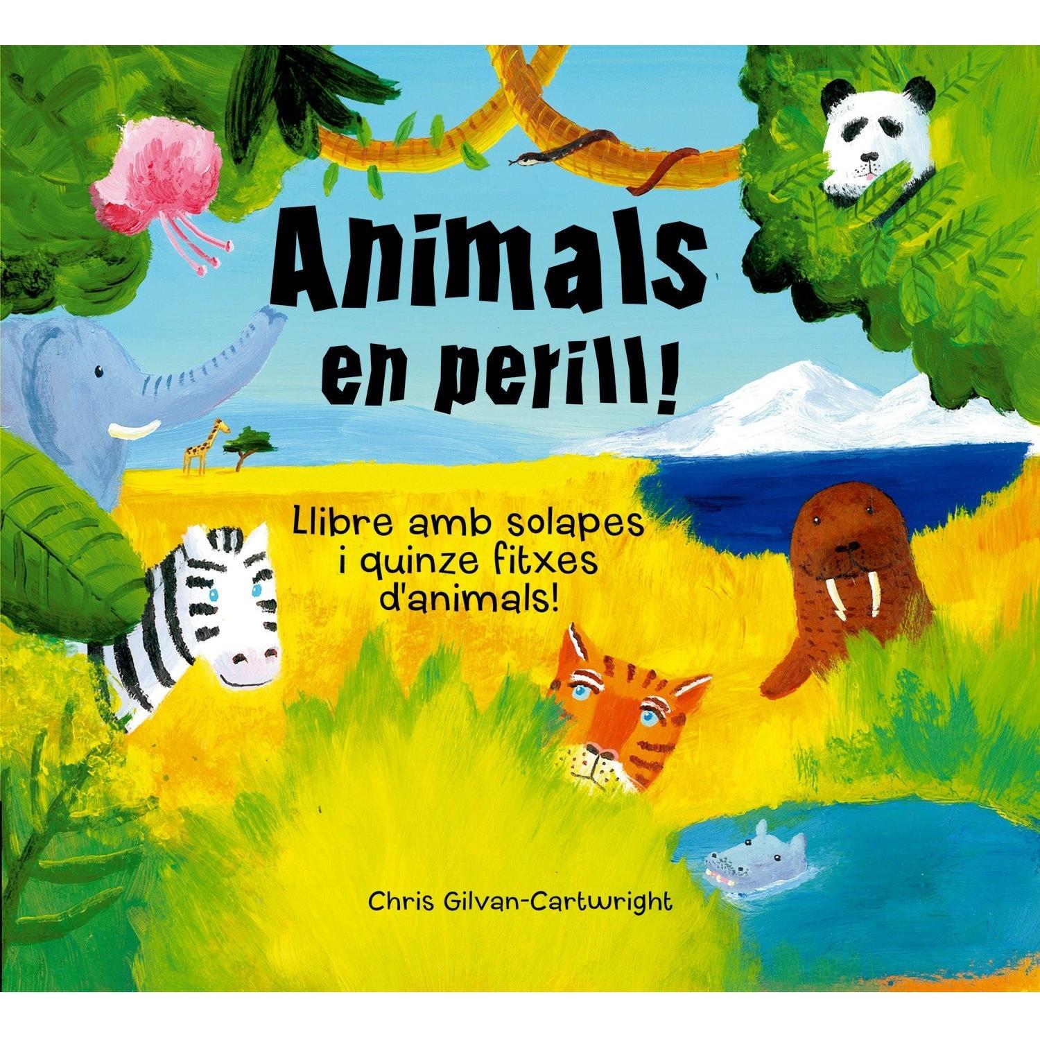 Imagen Principal