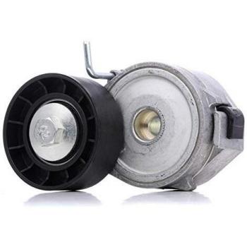 Dayco APV2424