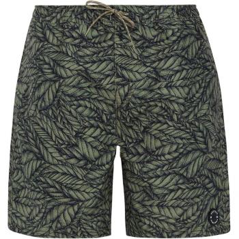 Bañador de hombre Prtyukis Protest - Verde, talla L