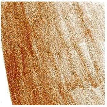 Lápiz De Color Faber Castell Ocre Tostado Polychromos