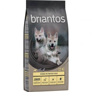 Briantos Junior Chicken and Potato - GRAIN-FREE - 12 kg