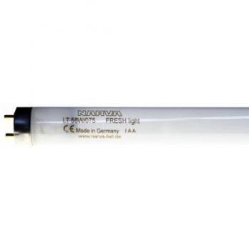 Tubo fluorescente 58 W/075 Fresh Light T8 G13 Narva