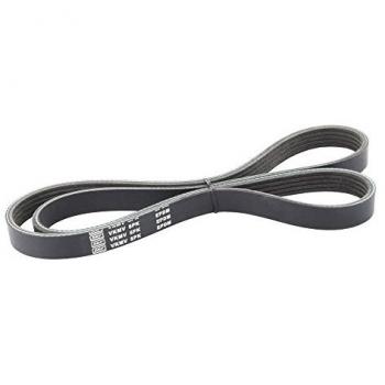 Correa trapecial poli V SKF VKMV 5PK1385, V-ribbed belt, longitud de 1385 mm, 5 canales